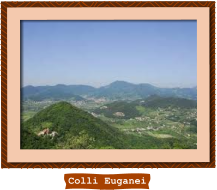 Colli Euganei